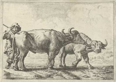 Twee buffels en een herder door Pieter van Laer