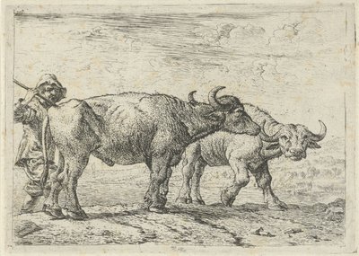Twee buffels en een herder door Pieter van Laer