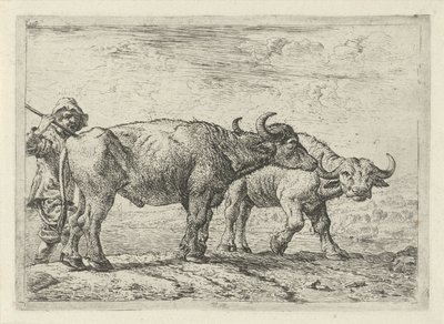 Twee buffels en een herder door Pieter van Laer