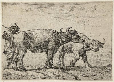 Twee buffels en een herder door Pieter van Laer