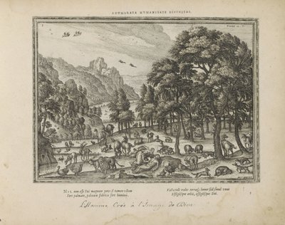 Schepping van de mens door Pieter van der Borcht (I)