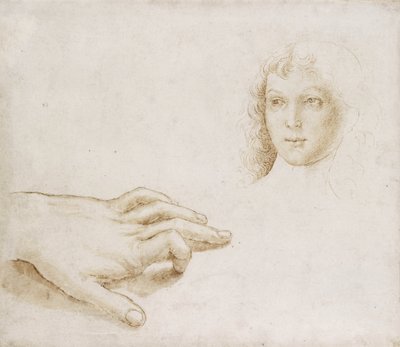 Studies van een Hoofd en een Hand door Pietro (circle of) Perugino