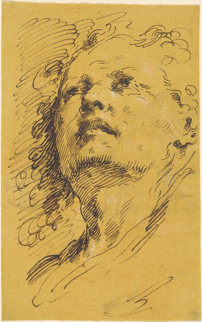 Hoofd van een Man die Omhoog Kijkt door Pietro Antonio Novelli