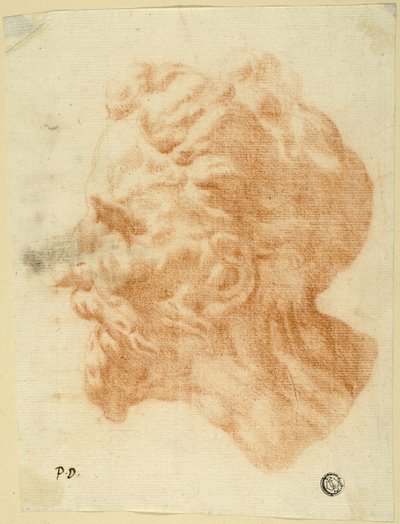 Hoofd van man met baard in profiel naar links door Pietro Dandini