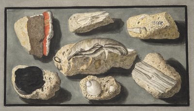 Specimens van Tufa gevonden in en rond Herculaneum, Plaat XXXXV, uit 