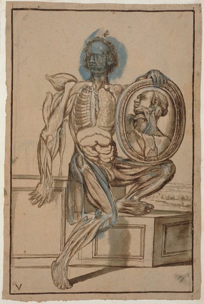 Ms Hunter 653 Plaat V Anatomische tekening, c.1610 door Pietro da Cortona