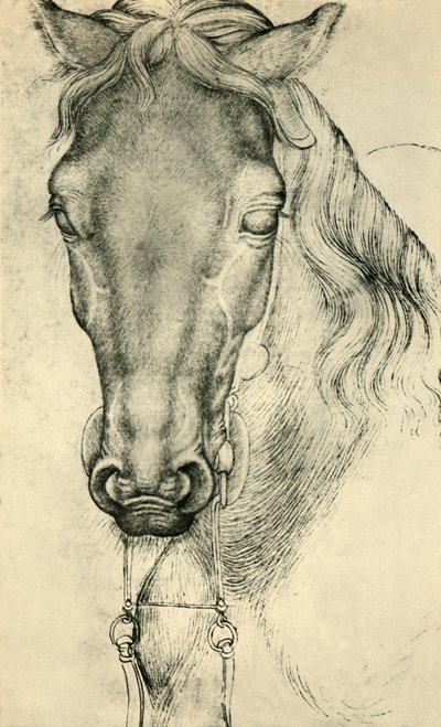 Hoofd van een paard door Antonio Pisanello