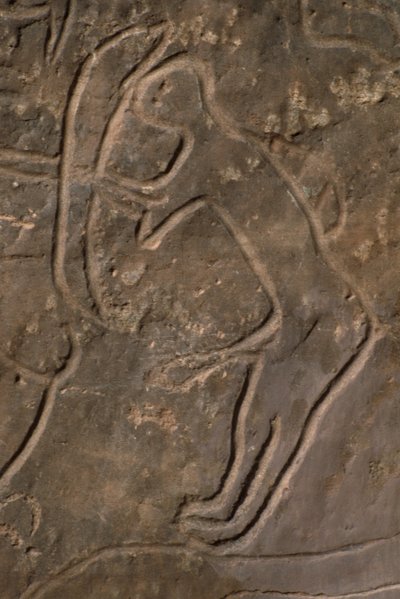 Menselijke figuur en stierenkop (rotsgravure) door Prehistoric