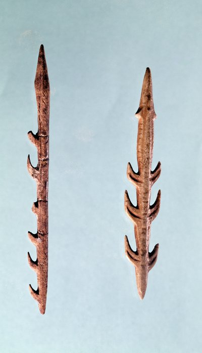 Twee Harpoenen, Boven-Paleolithische Periode, 35000-10000 v.Chr. door Prehistoric