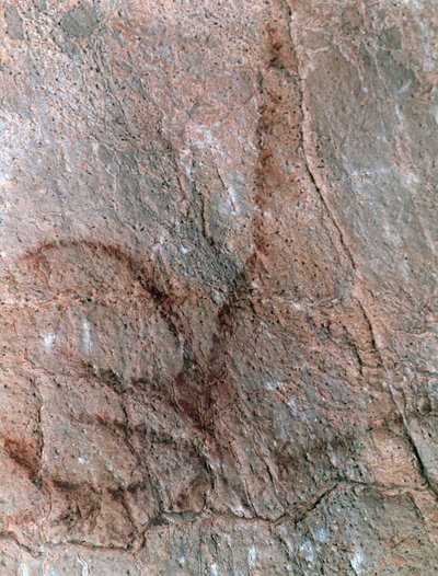  door Prehistoric Prehistoric