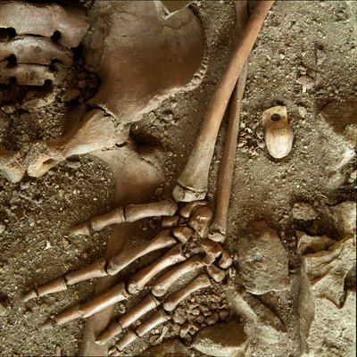 Prehistorie: tiener sepultuur. Detailweergave van het grafgeschenk uit de grot van Candid Arene (Finale Ligure), Ligurië. Boven-Paleolithicum, 24000 v.Chr. Genua, Museo di Archeologia Ligure door Prehistoric Prehistoric
