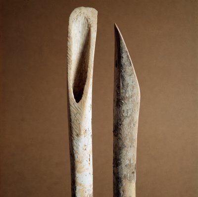 Prehistorie: gereedschappen om schors van scheenbeenderen van geiten en schapen te verwijderen uit de Necropolis van Arene Candide (Finale Ligurië), Ligurië. Midden-Neolithicum, Steentijd. Genua, Museo di Archeologia Ligure door Prehistoric Prehistoric