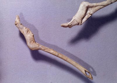 Prehistorie: twee werpsperen genaamd 