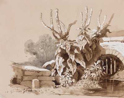 Studie van planten bij een sloot, met toevoegingen door een instructeur, 1856 door Prince Gaetano Maria Federico di Borbone