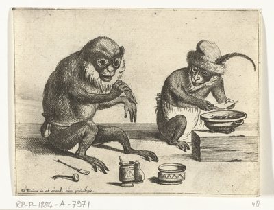 Een aap legt een verband aan door Quirin Boel