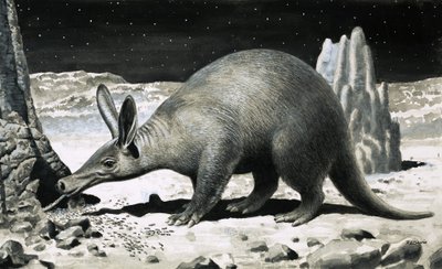 Aardvarken door R.B. Davis