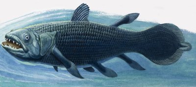 Coelacanth door R.B. Davis