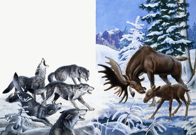 Koninkrijk van de natuur: Ze aten hun weg naar de hongerdood door R.B. Davis