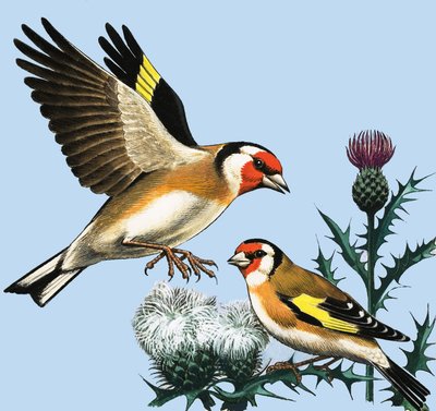 Het platteland in september, illustratie uit 