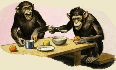 Z voor dierentuin. Chimpansee