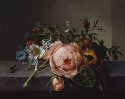 Stilleven met rozentak, kever en bij, 1741 door Rachel Ruysch