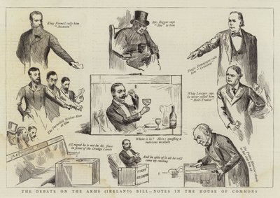 Het debat over de Wapens (Ierland) Wet, notities in het Lagerhuis door Randolph Caldecott