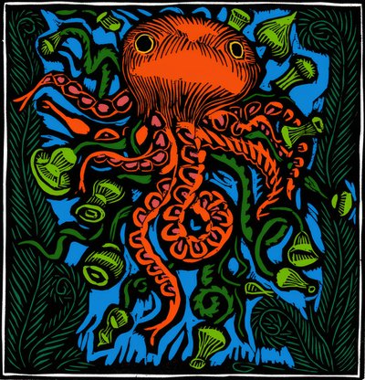 Zoölogie / Zeeleven / Octopus door Raoul Dufy