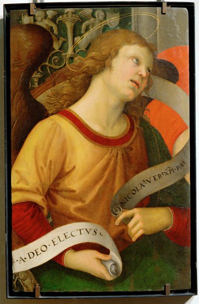 Engel ... door Raphael (1483-1520)