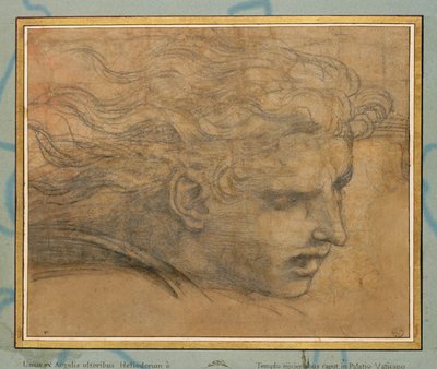 Hoofd van een jonge man, driekwart naar rechts ... door Raphael (1483-1520)