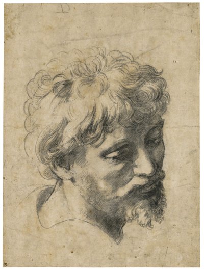 "Portret van jonge apostel" (Hoofd van jonge apostel) Houtskool op papier door Raphael (Raffaello Sanzio) (1483-1520) Privécollectie door Raphael