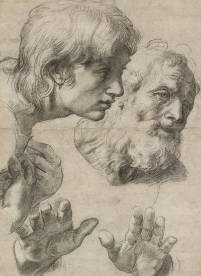Studies van de hoofden van twee apostelen en hun handen door Raphael