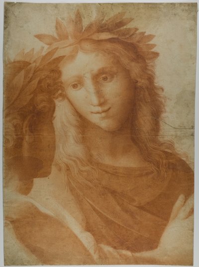 Man en Vrouw Gekroond met Laurier door Raphael