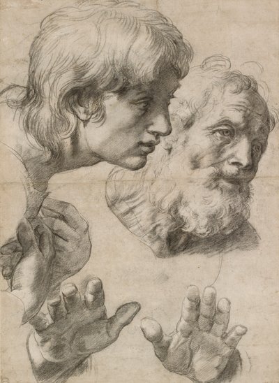 Studies van de hoofden van twee apostelen en hun handen, 16e eeuw door Raphael
