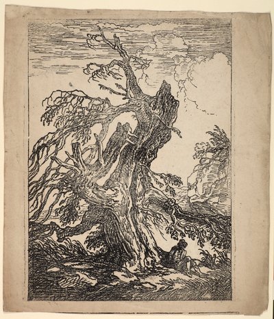 Studie van een boom door Raphael Lamar West