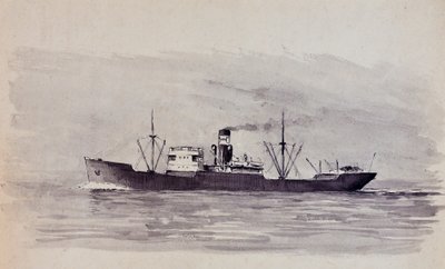  door Raymond Bonnefon