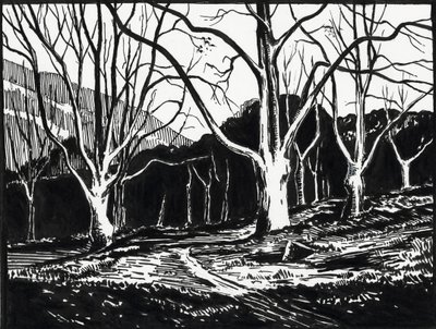  door Raymond Bonnefon