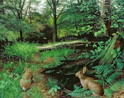 In het bos - een midzomeravond (olieverf op board) door Raymond Booth