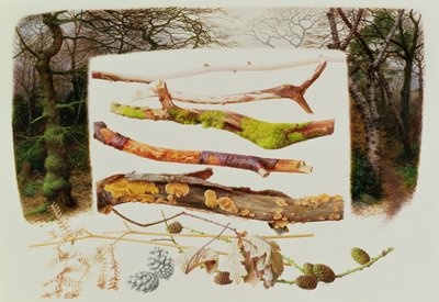 Voorwerpen uit het winterbos, 2000 (olieverf op papier) door Raymond Booth