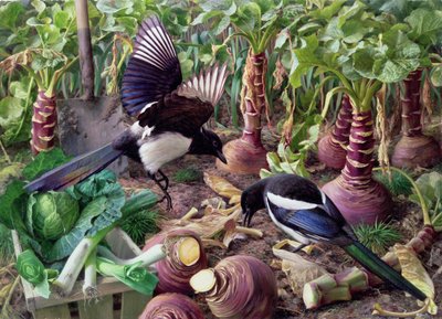 Eksters in de moestuin (bord) door Raymond Booth
