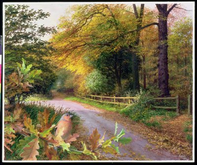 Oktoberavond op Crag Lane door Raymond Booth
