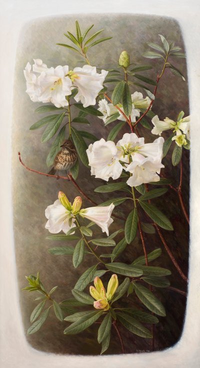 Rhododendron lindleyi door Raymond Booth