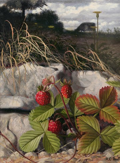 Aardbeien (olieverf op paneel) door Raymond Booth