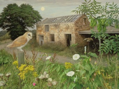 The Old Farm Buildings at Eccup, 2000 (olieverf op board) door Raymond Booth