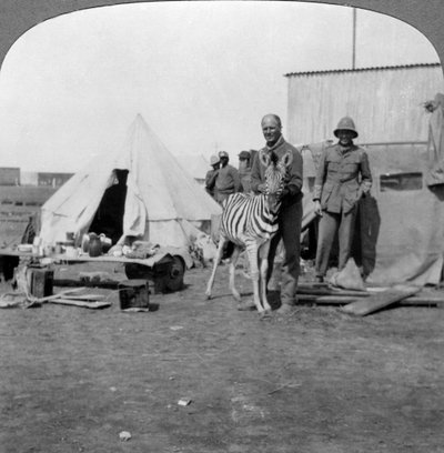 Zuid-Afrikaanse kanonniers met hun huisdier zebra, Oost-Afrika, Eerste Wereldoorlog, 1914-1918 door Realistic Travels Publishers