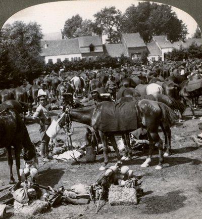 Troepen voeden hun paarden en rusten tijdens de mars, Eerste Wereldoorlog, 1914-1918 door Realistic Travels Publishers