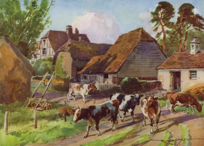 Illustratie voor Mijn Boerderij door Reginald Mills