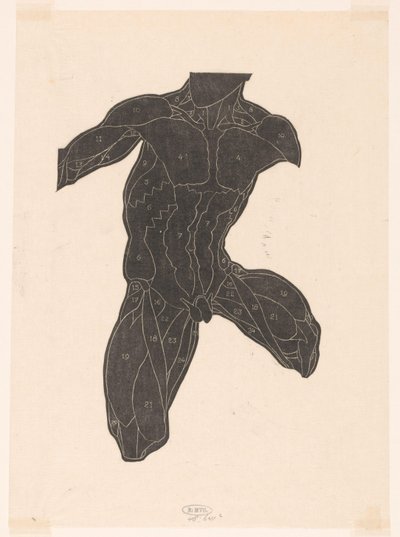 Anatomische studie van de nek-, buik- en bovenbeenspieren van een man in silhouet door Reijer Stolk
