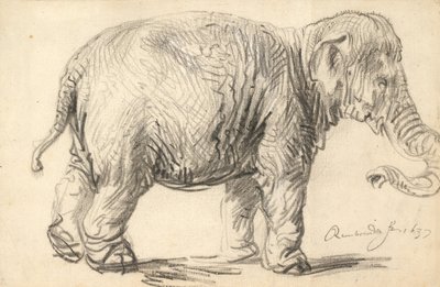 Een olifant door Rembrandt van Rijn