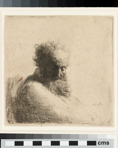 Borstbeeld van een oude bebaarde man, naar beneden kijkend, driekwart rechts door Rembrandt Harmensz. van Rijn
