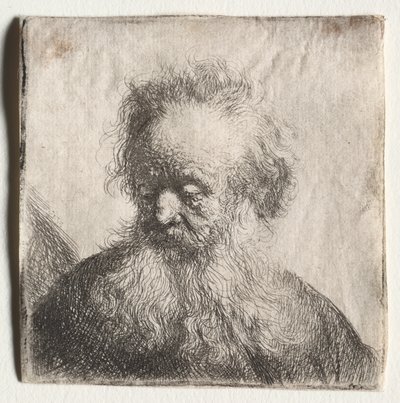 Oude man met golvende baard: Buste door Rembrandt Harmensz. van Rijn